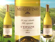 Megavino 2013